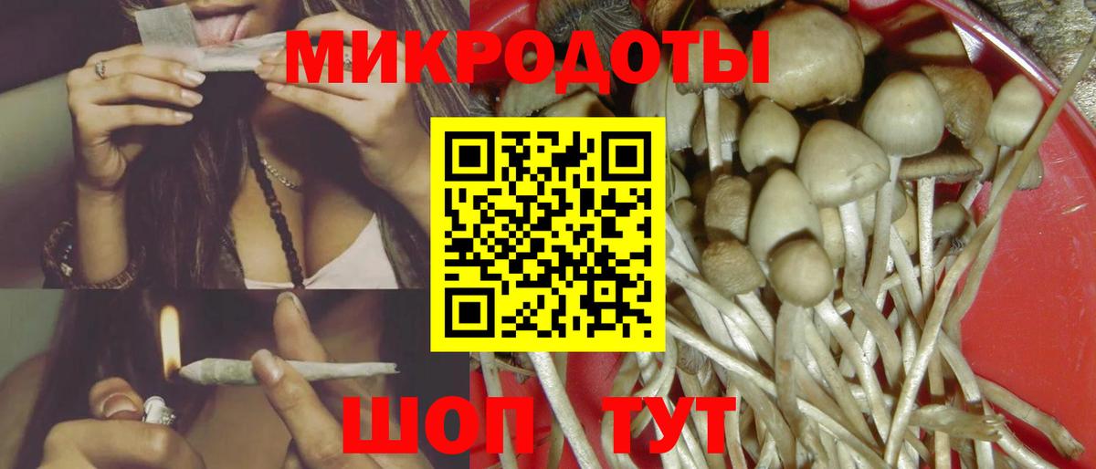 Всеволожск  Псилоцибиновые грибы GOLDEN TEACHER  Псилоцибиновые грибы Cubensis  Вход с VPN 